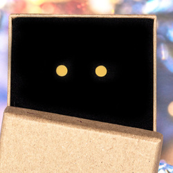 SZTZ-261 Srebrne kolczyki KOŁA 5mm 925 POZŁACANE