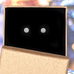 Srebrne kolczyki - sztyfty - KÓŁKO - pr. 925