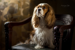 SZT-734  Kolczyki sztyfty 9mm KOŚĆ PIES SREBRO