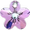 Crystal Vitrail Light (VL)