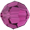 Fuchsia Fuchsia