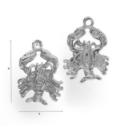 CHA-400 RAK zodiak do podwieszenia SREBRO p 925