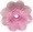 Light Rose